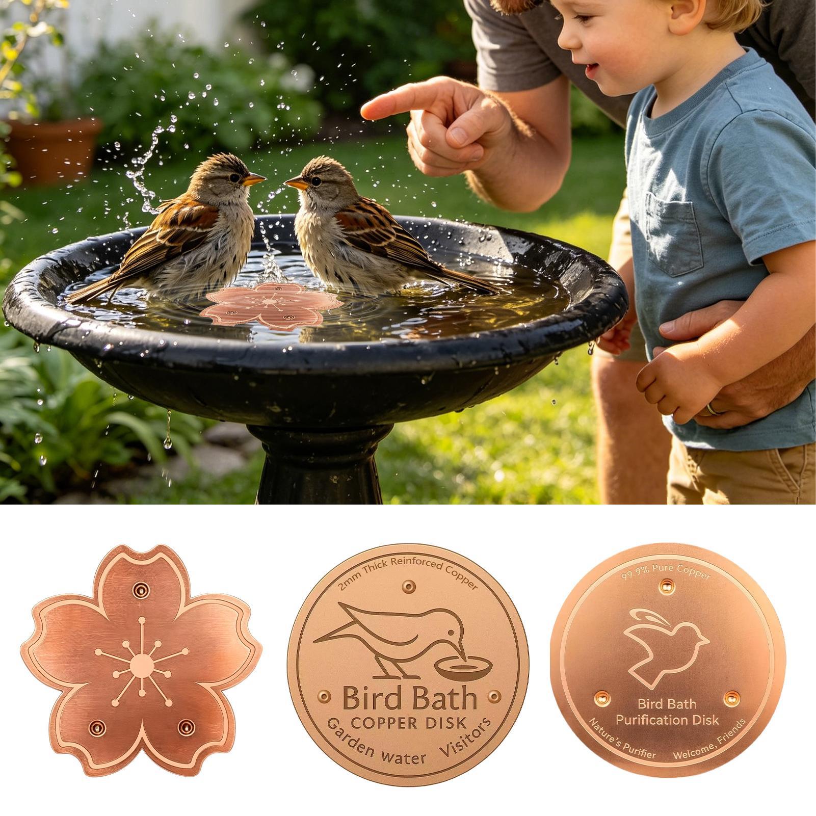 Plaque de purification en cuiv - Watches & Jewelry Repair Center Photos avis et prix